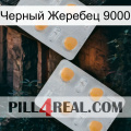 Черный Жеребец 9000 25